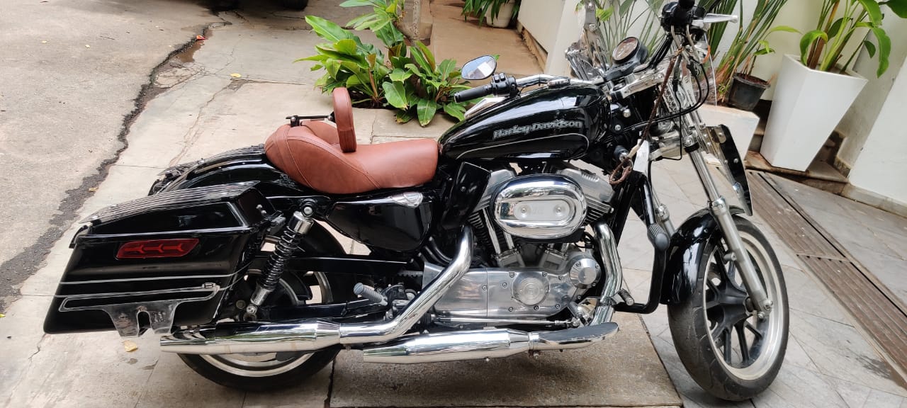 Custom 1200 – Solo Seat Optional Rider Backrest