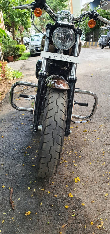 Custom 1200- Butterfly Engine guard/Crash guard