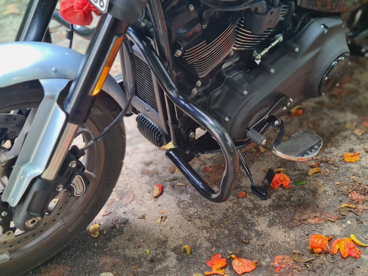 Low Rider- Moustache Engine guard/Crash guard