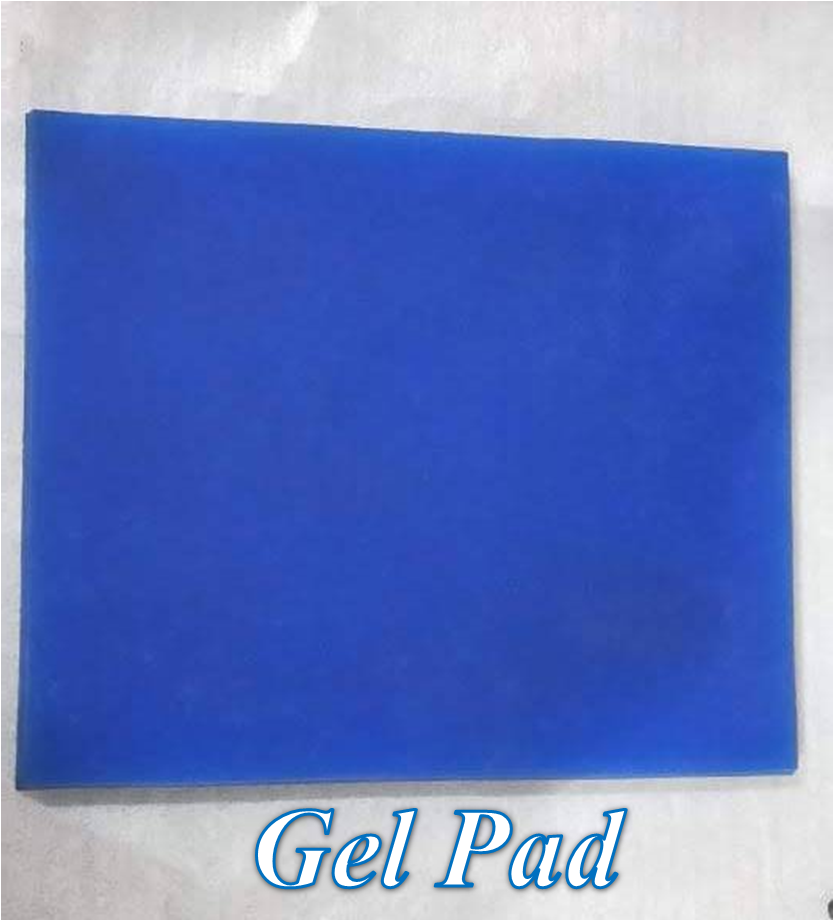 IRON 883 – Full Seat Optional Rider Backrest