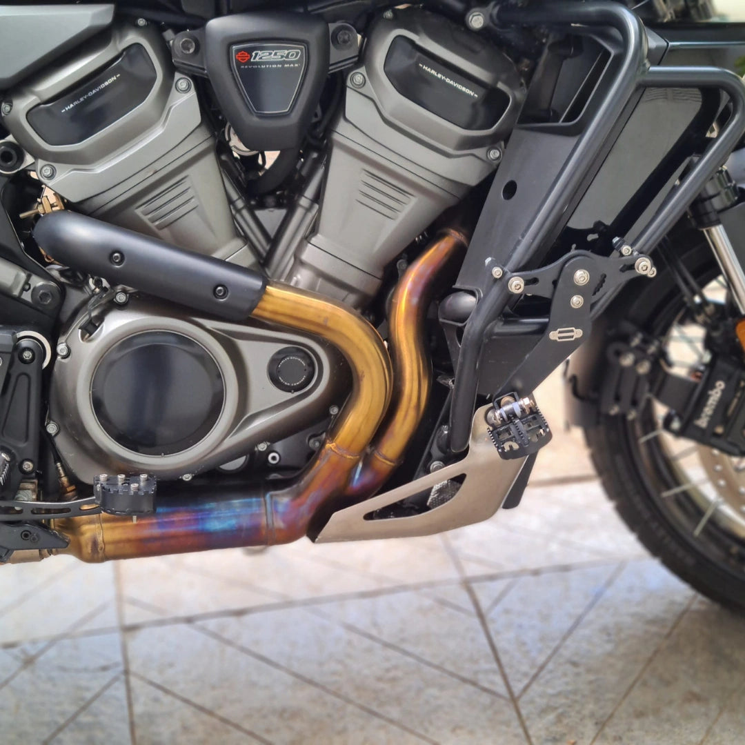 AeeDEA extended reach footpeg mounted to an OEM Harley-Davidson crash bar