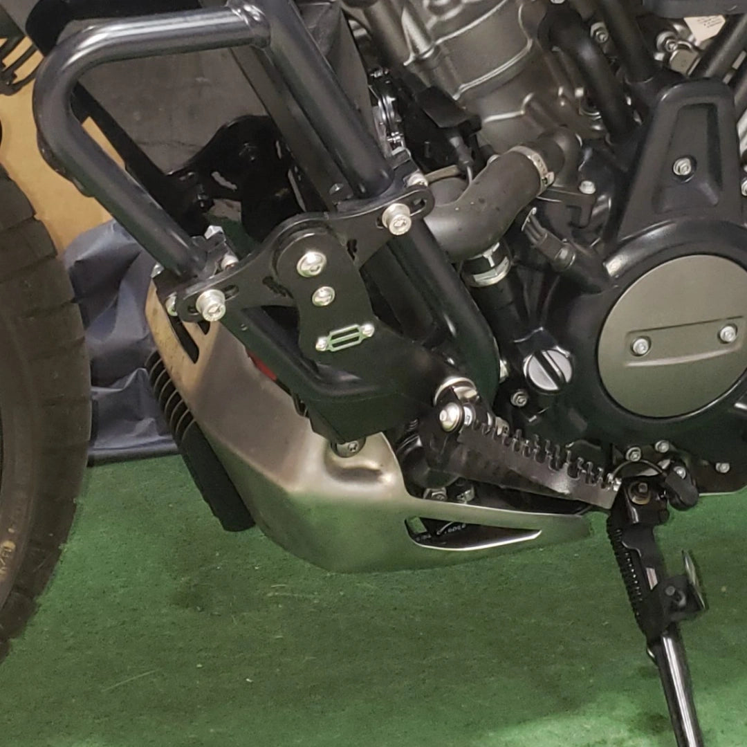 AeeDEA highway footpeg installed on an OEM Harley-Davidson crash bar