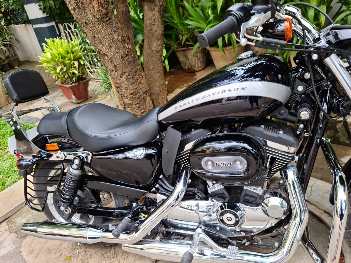 Custom 1200 – Pillion Backrest – Moulded Backrest Stout and Tall