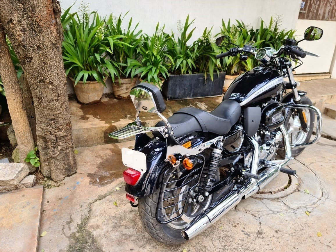 Custom 1200- Butterfly Engine guard/Crash guard