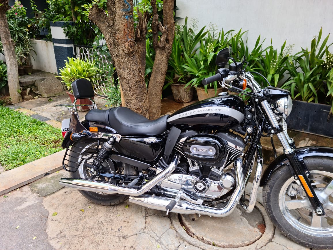 Custom 1200 – Pillion Backrest – Moulded Backrest Stout and Tall