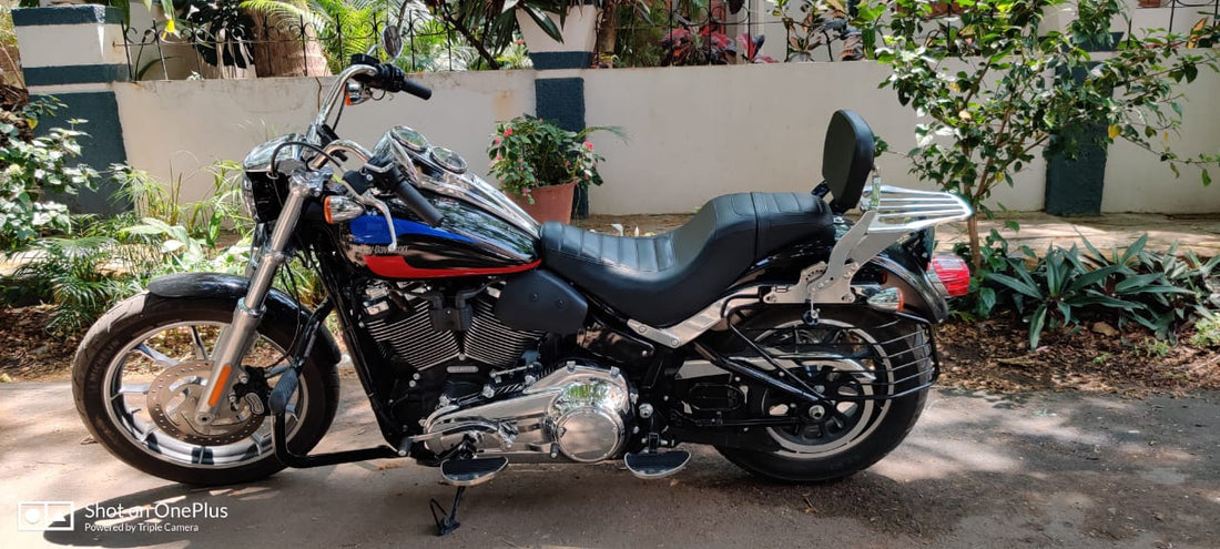 Heel Shifter/ Shoe Protector- Low Rider