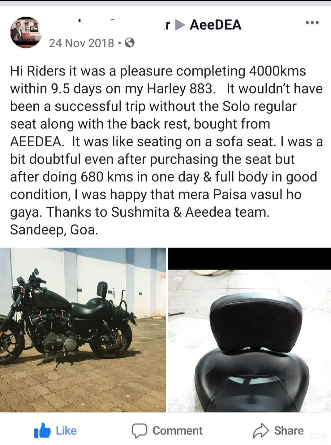 Sportster 48 – Solo Seat Optional Rider Backrest