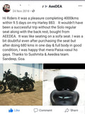 Roadster 1200 – Solo Seat Optional Rider Backrest