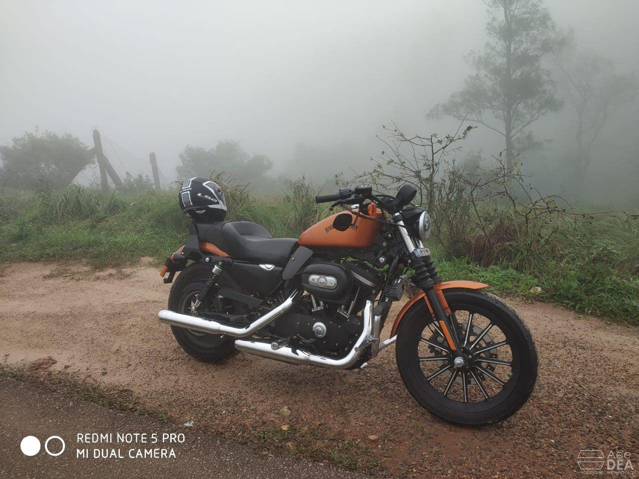 IRON 883 – Full Seat Optional Rider Backrest