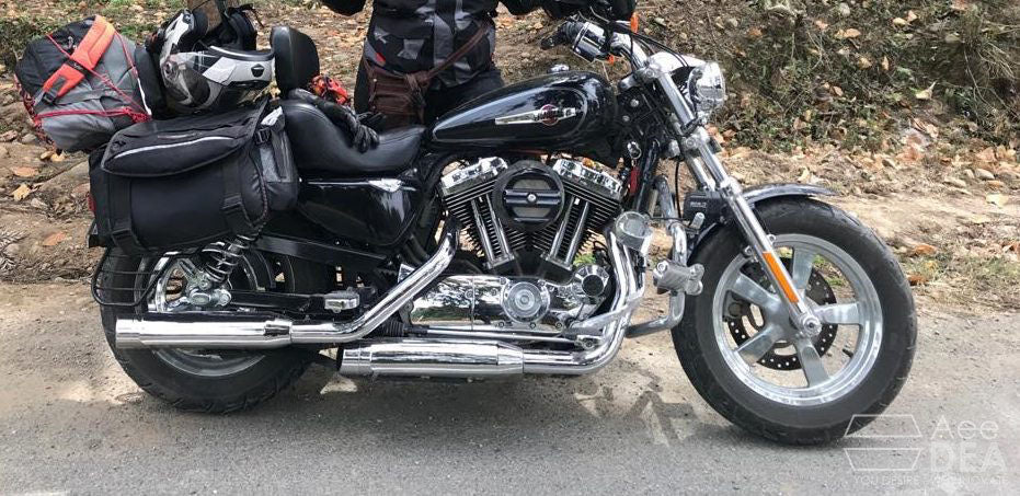 Custom 1200 – Full Seat Optional Rider Backrest