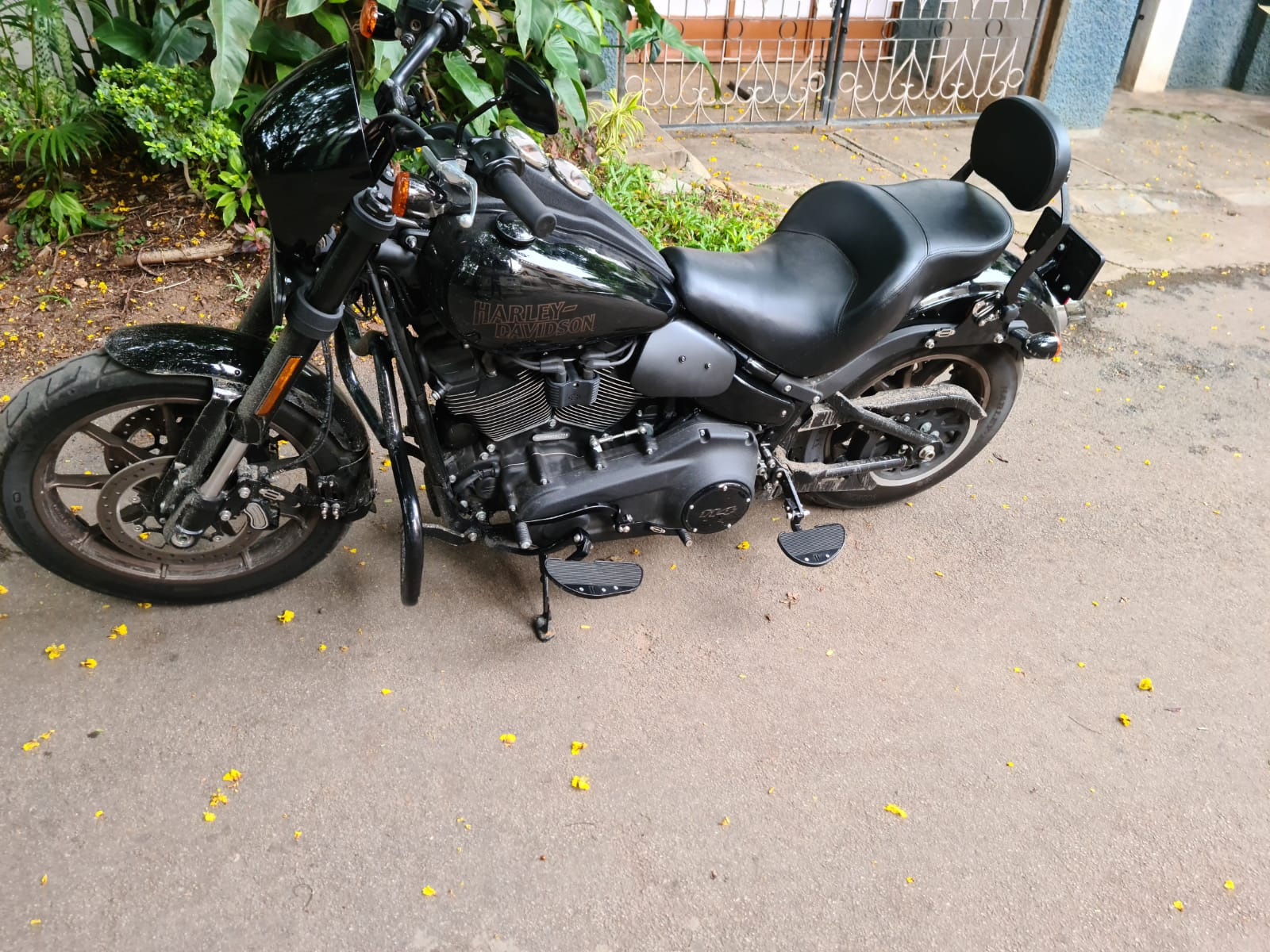 Low Rider- Full Seat Optional Rider Backrest