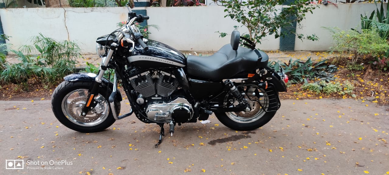 Custom 1200 – Rider Pillion Backrest