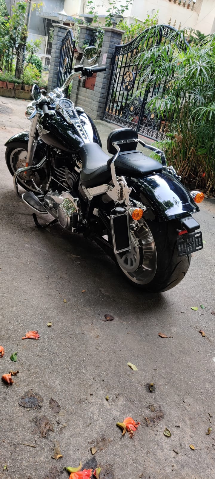 Side number plate mounted on a motorcycle, viewed from the rear three-quarter angle