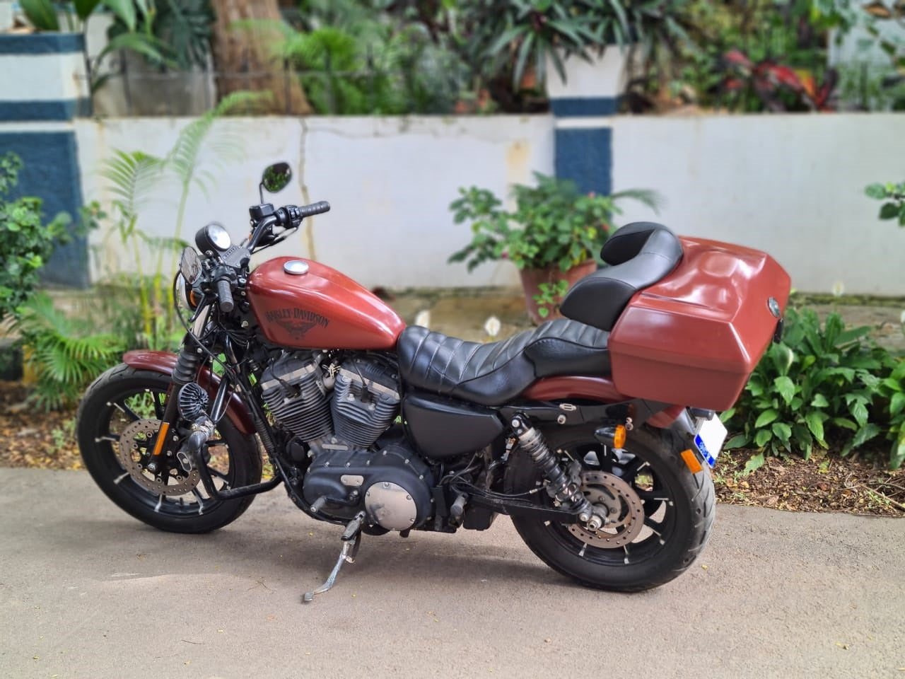 Iron 883 – Touring Top Box