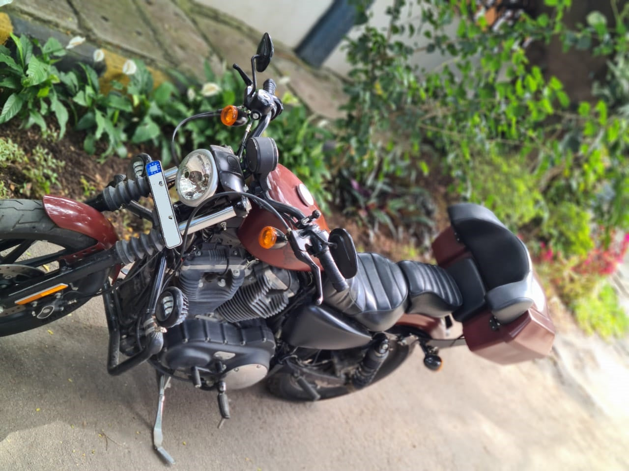 Iron 883 – Touring Top Box