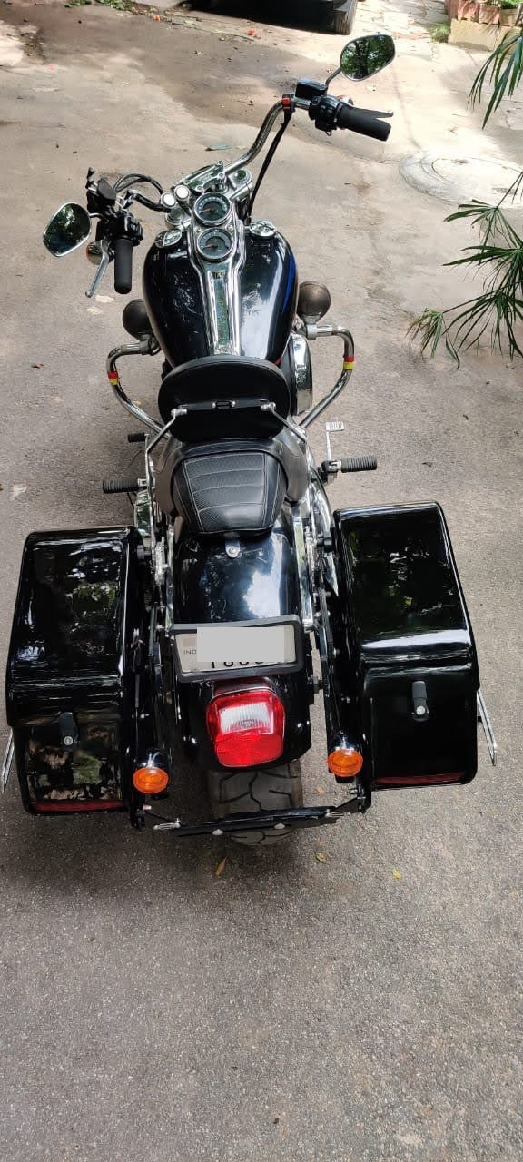 Low Rider-Side Panniers 2020