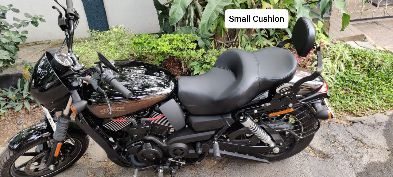 Custom 1200 – Rider Pillion Backrest