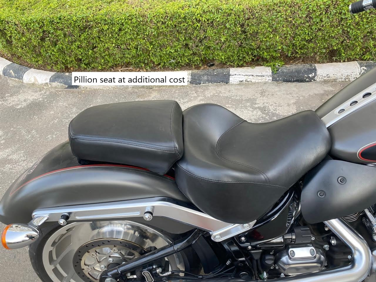 Fatboy Pre 2018 -Solo Seat Optional Rider Backrest