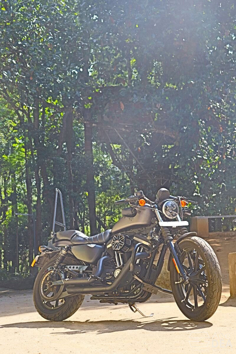 Iron 883 – Moustache Type Engine Guard/ Crash Guard